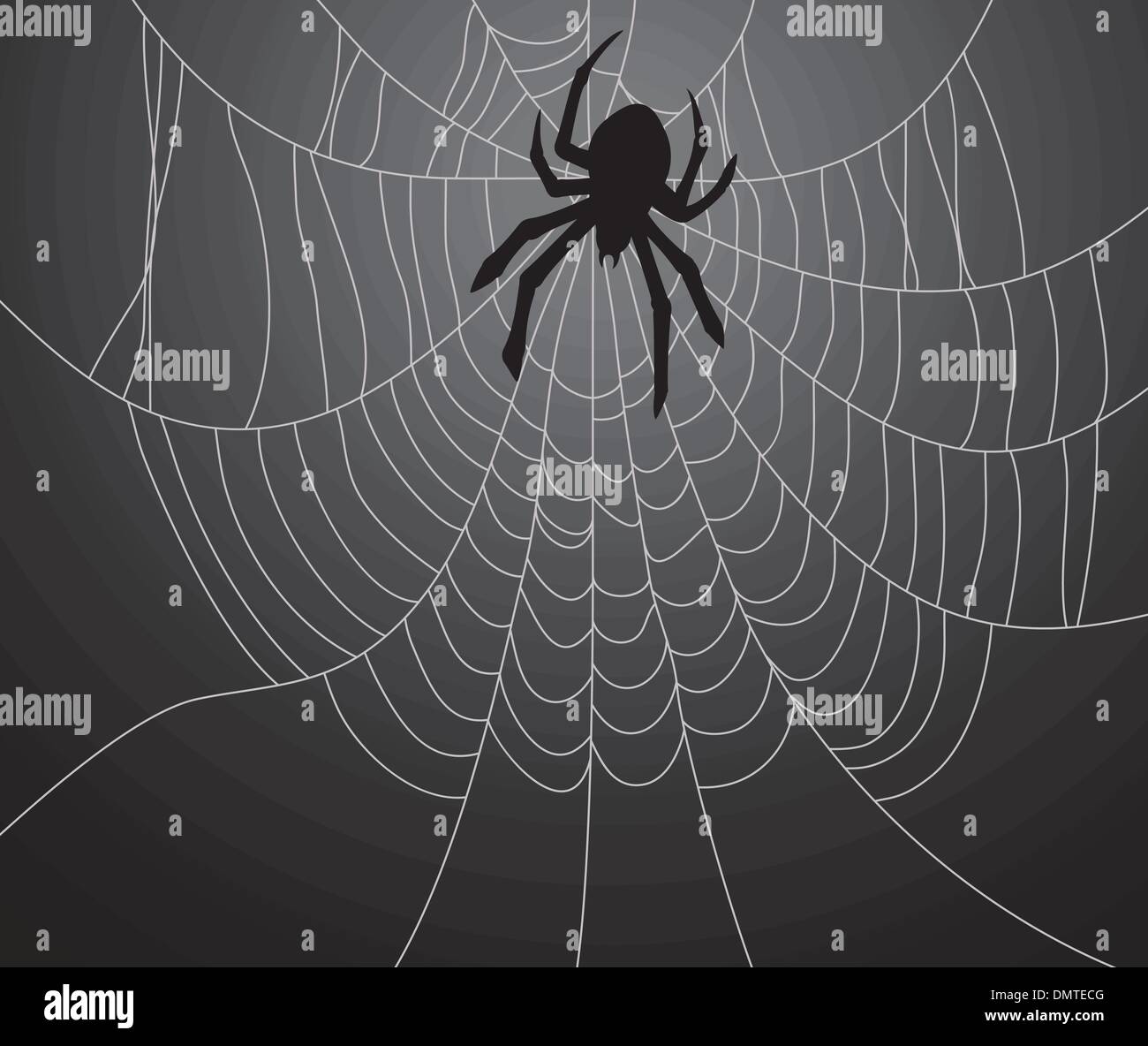vector black spider and the web Stock Vector