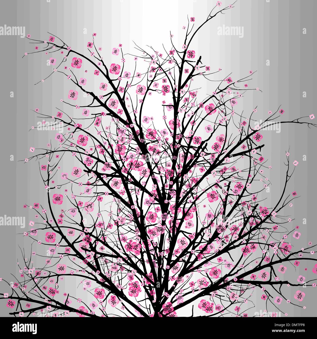 Cherry blossom isolated on Stock Vector Images - Alamy