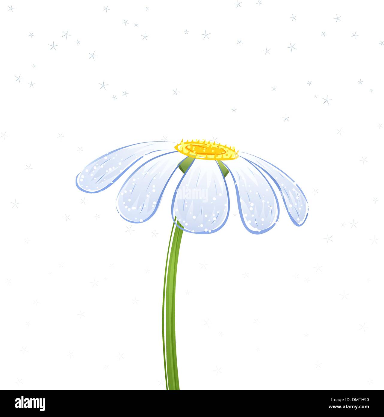 White daisy Stock Vector