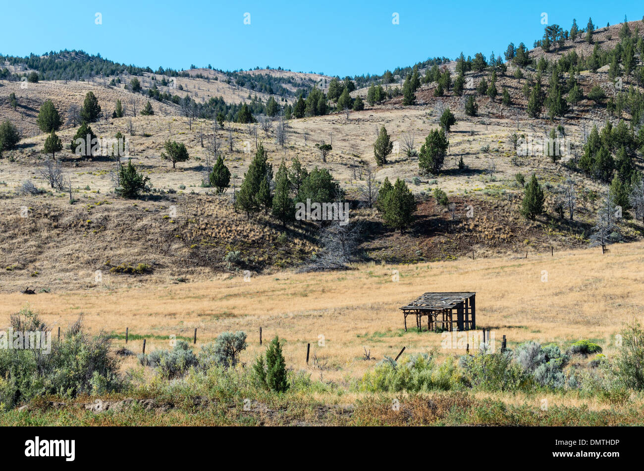 Stock shelter in the Painted Hills Unit of the John Day Fossil Beds National Monument Stock Photo