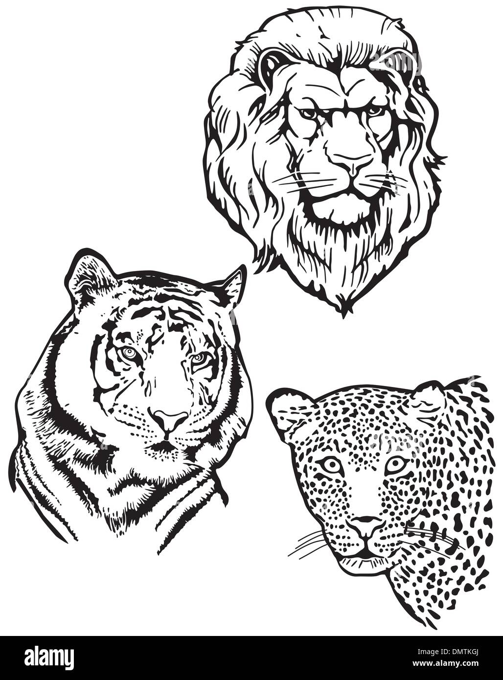 Three Predators, Lion, Tiger, Leopart Stock Vector