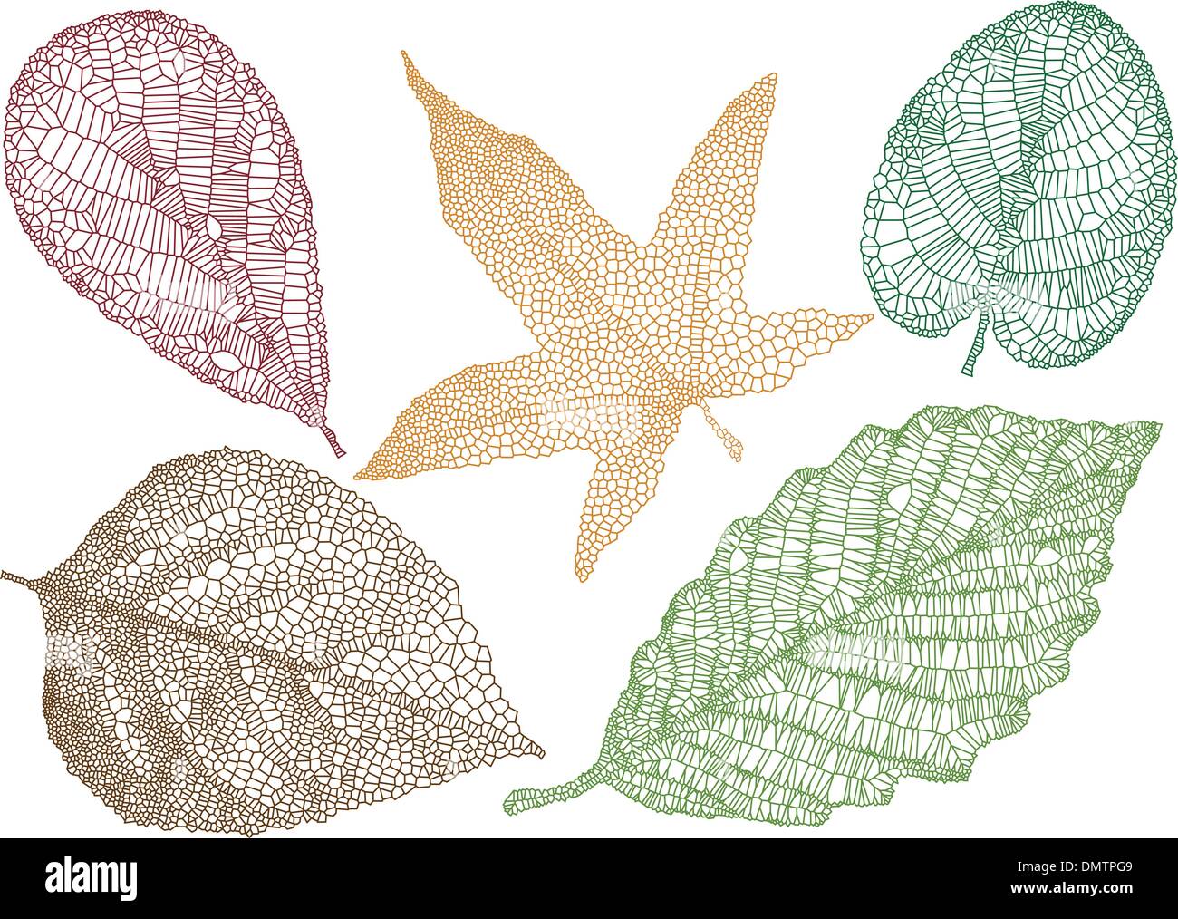 textured autumn leaves, vector Stock Vector