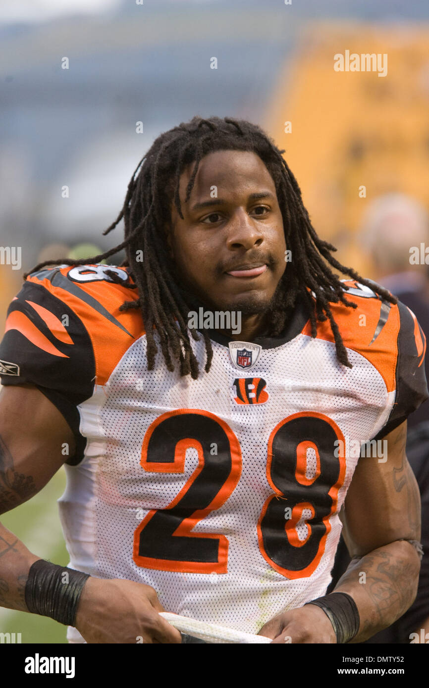 Cincinnati Bengals halfback Bernard Scott spikes the ball after