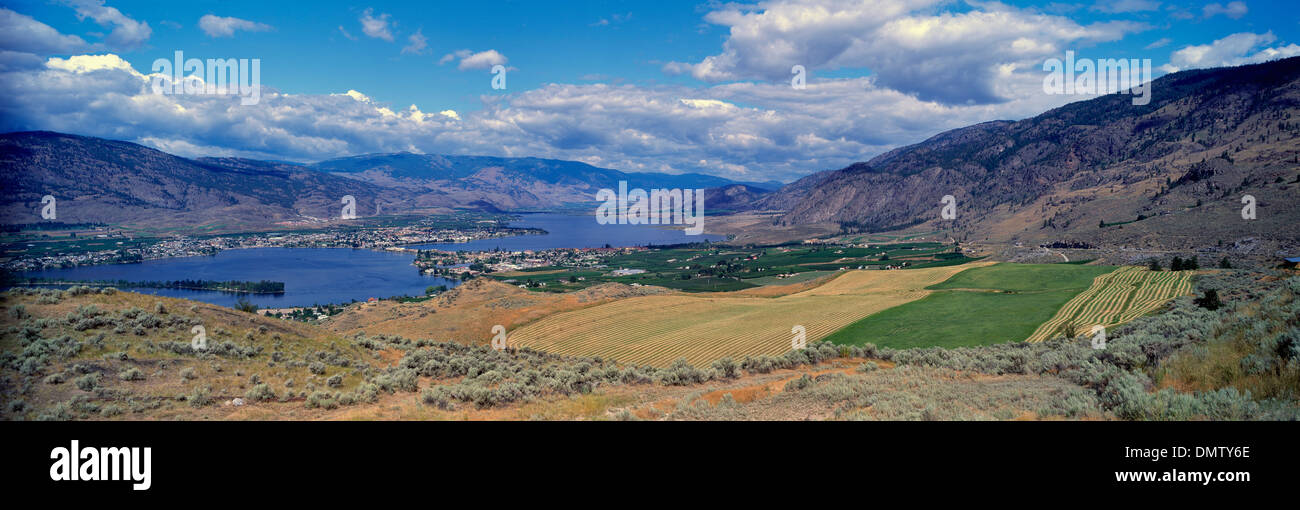 Scenic Lookout over Osoyoos / Osoyoos Lake, South Okanagan Valley, BC, British Columbia,  Canada - Farm Field, Agricultural Land Stock Photo