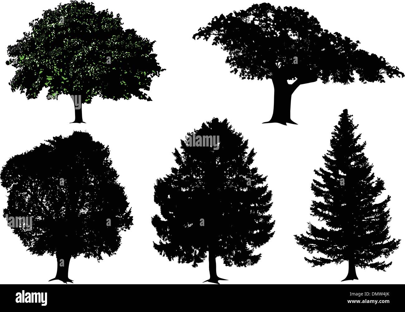 trees vector set Stock Vector Image & Art Alamy