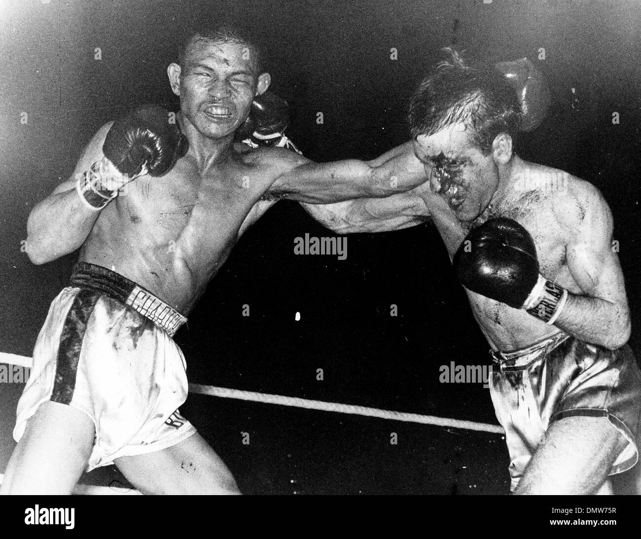 Chartchai chionoi hires stock photography and images Alamy