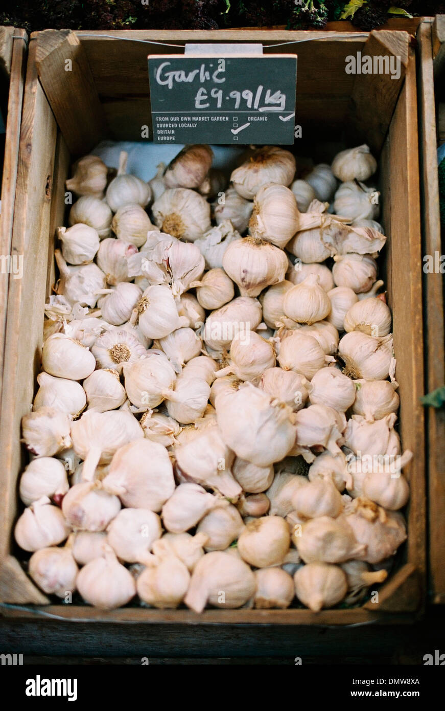 A wooden crate of garlic bulbs. Stock Photo