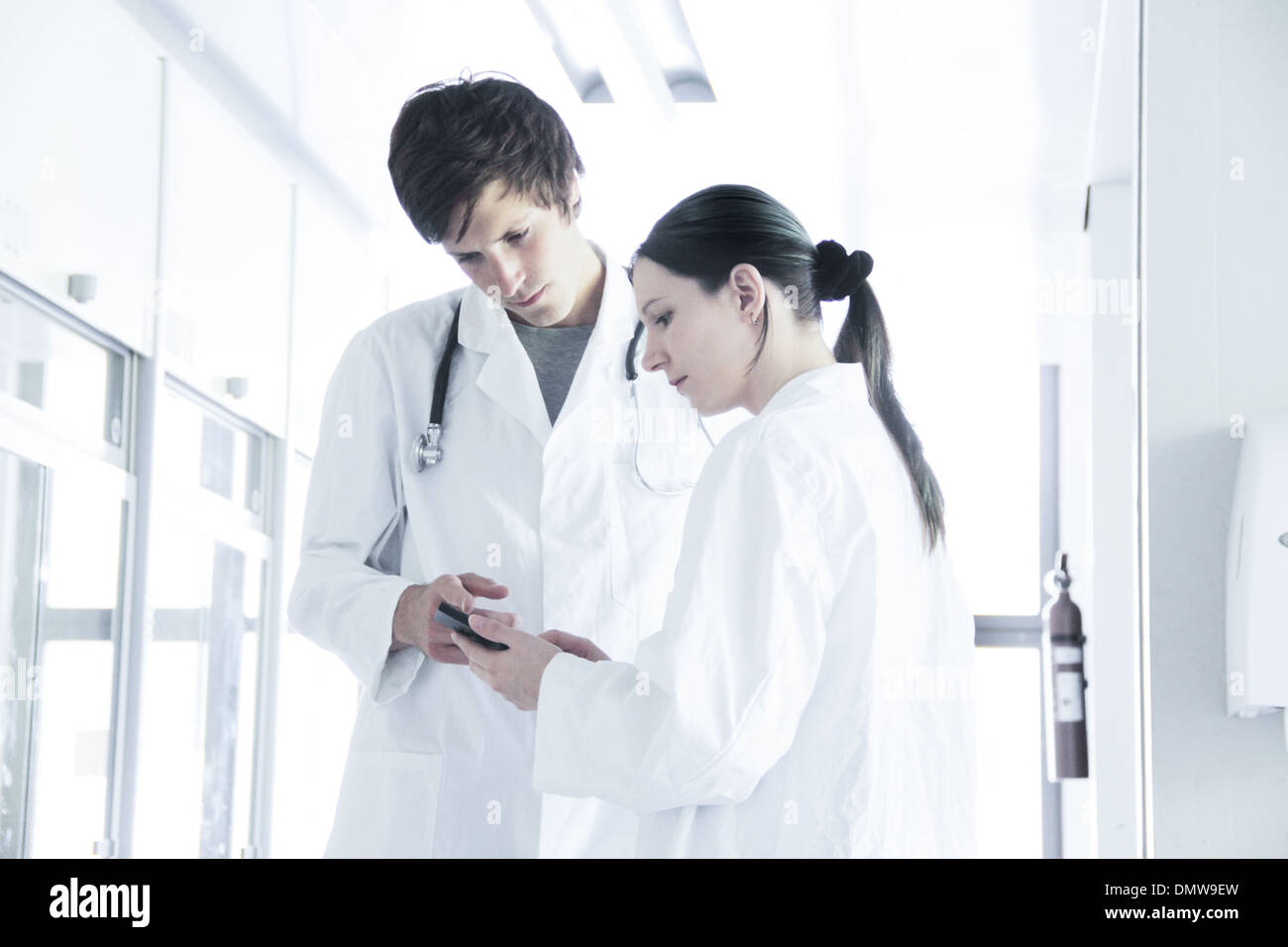 doctor examines a patient with stethoscope Stock Photo - Alamy