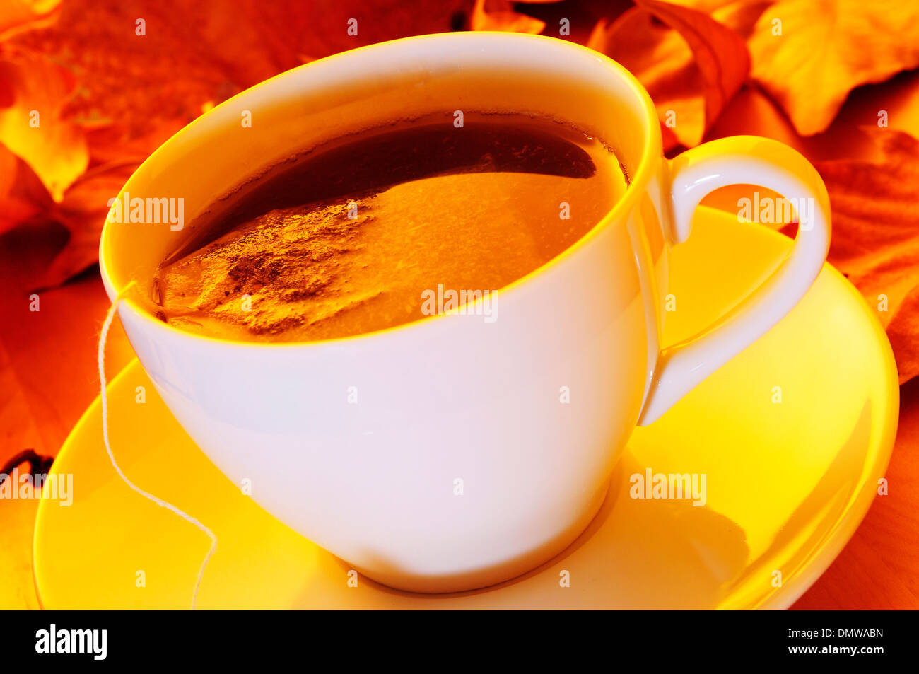 closeup of a cup with a tea bag being steeped, on a wooden table with dry leaves Stock Photo