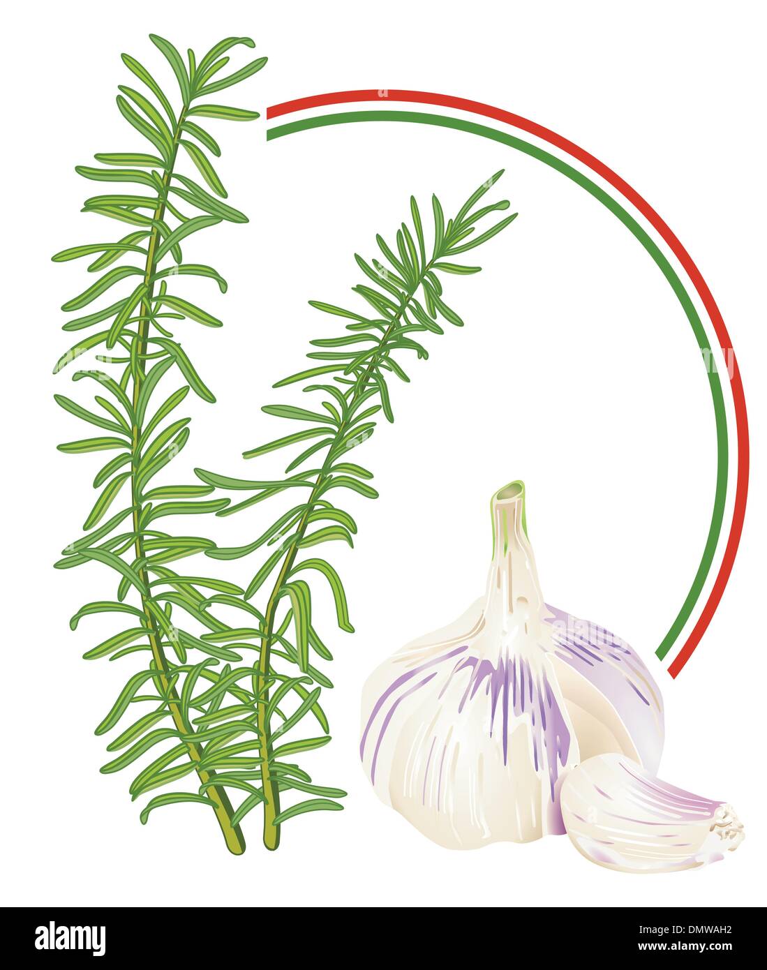 Rosemary and Garlic Stock Vector