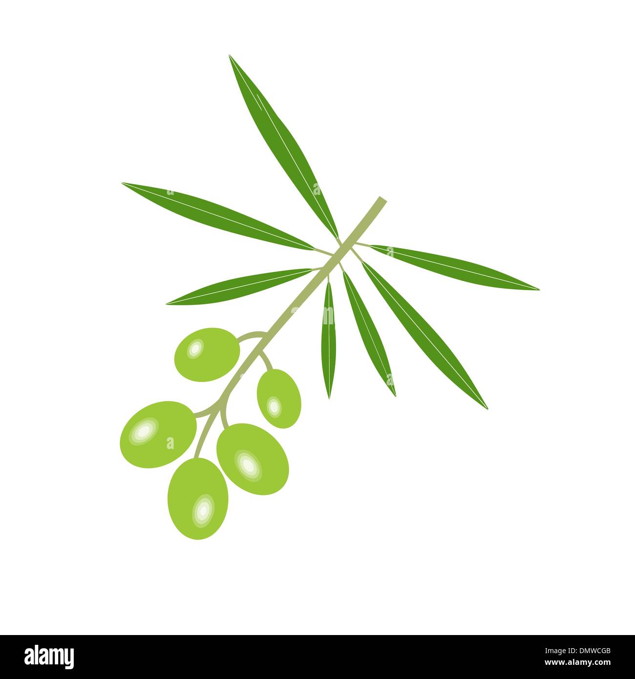 Olive trunk Stock Vector Images - Alamy