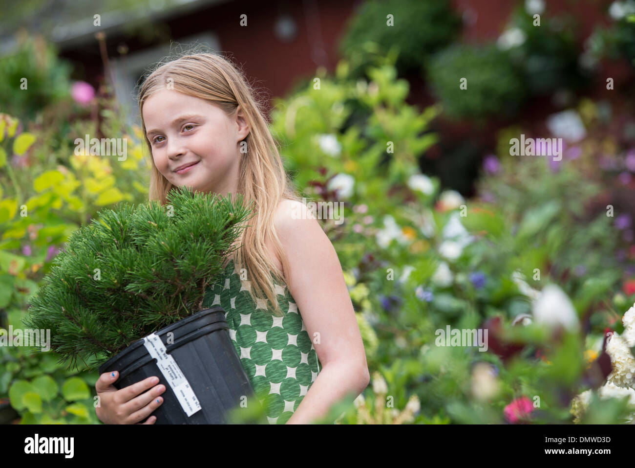 An organic flower plant nursery. A young girl carrying a plant in a pot. Stock Photo