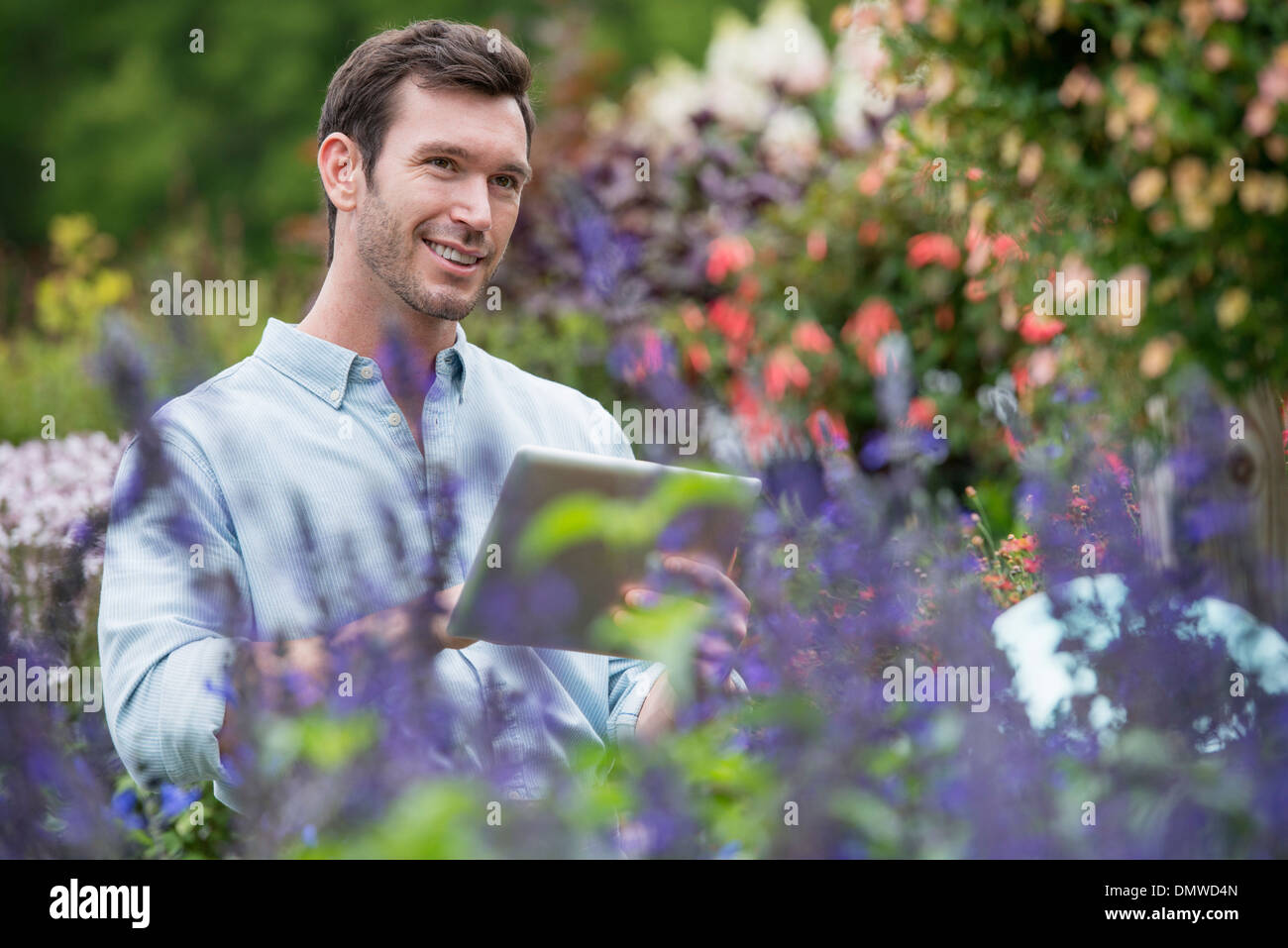 An organic flower plant nursery. A man working using a digital tablet. Stock Photo