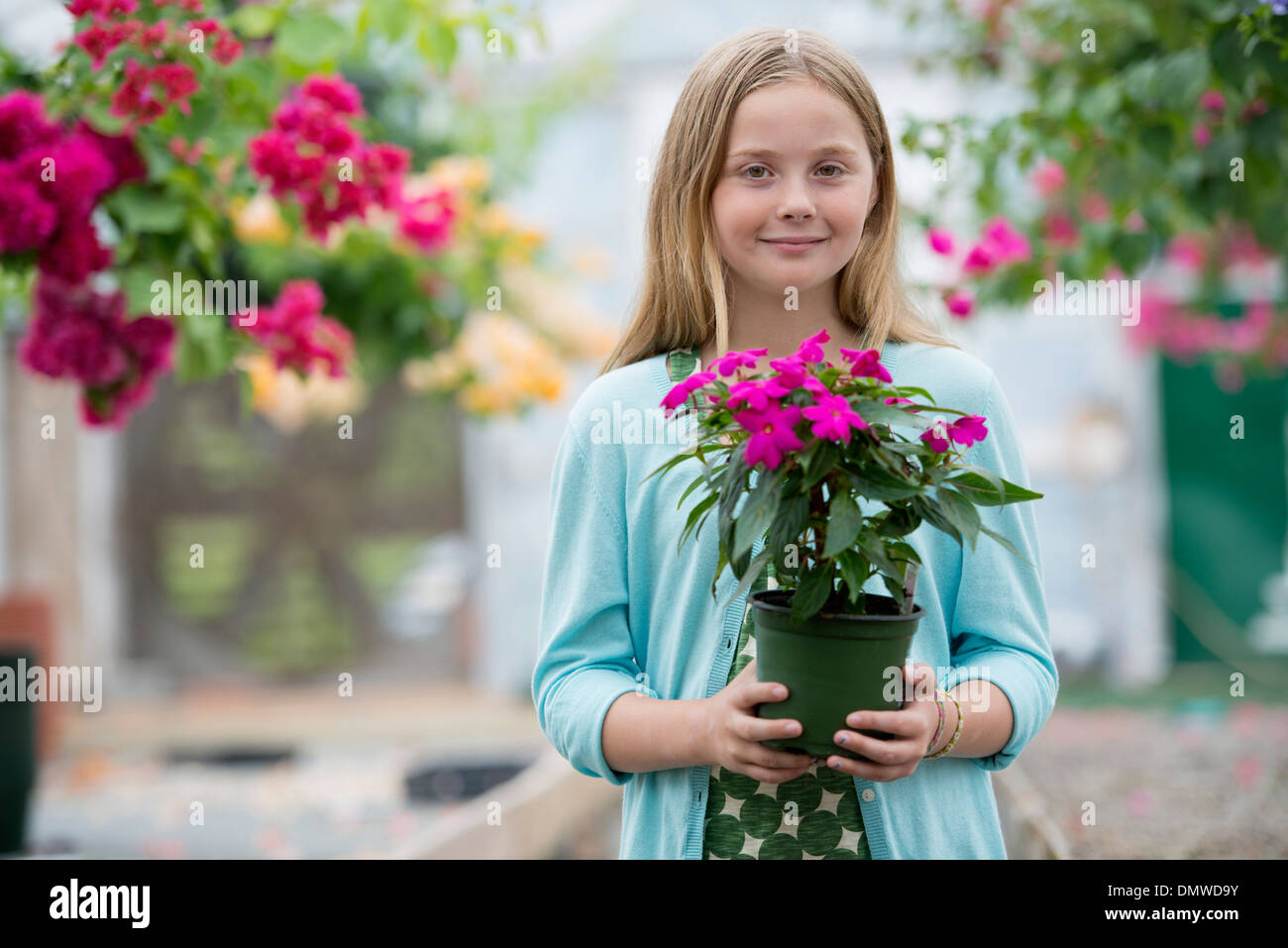 An organic flower plant nursery. A young girl holding a flowering plant. Stock Photo