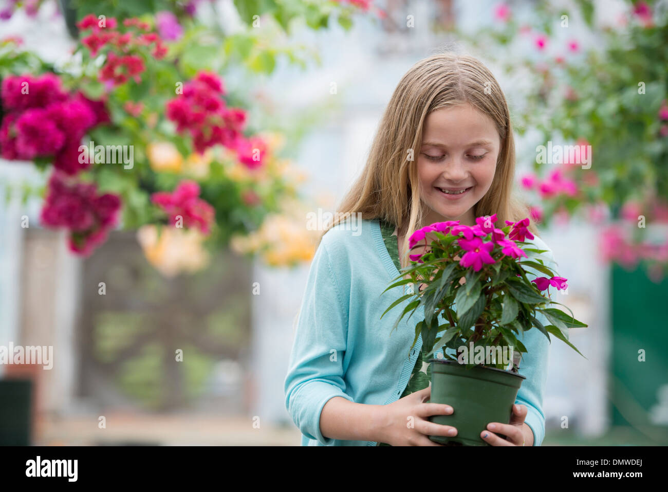 An organic flower plant nursery. A young girl holding a flowering plant