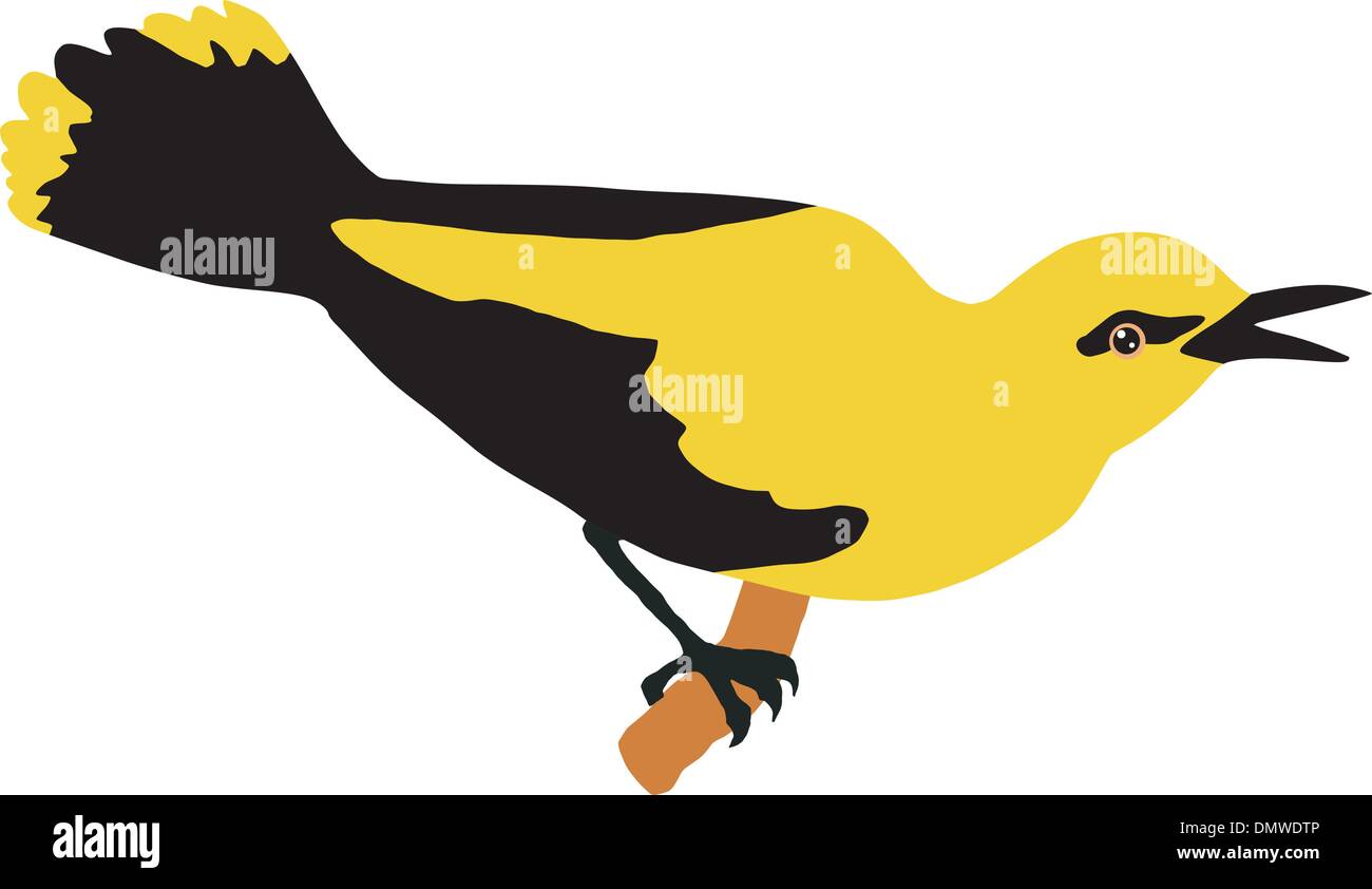 Maryland State Clipart-state bird of maryland baltimore oriole vector  clipart