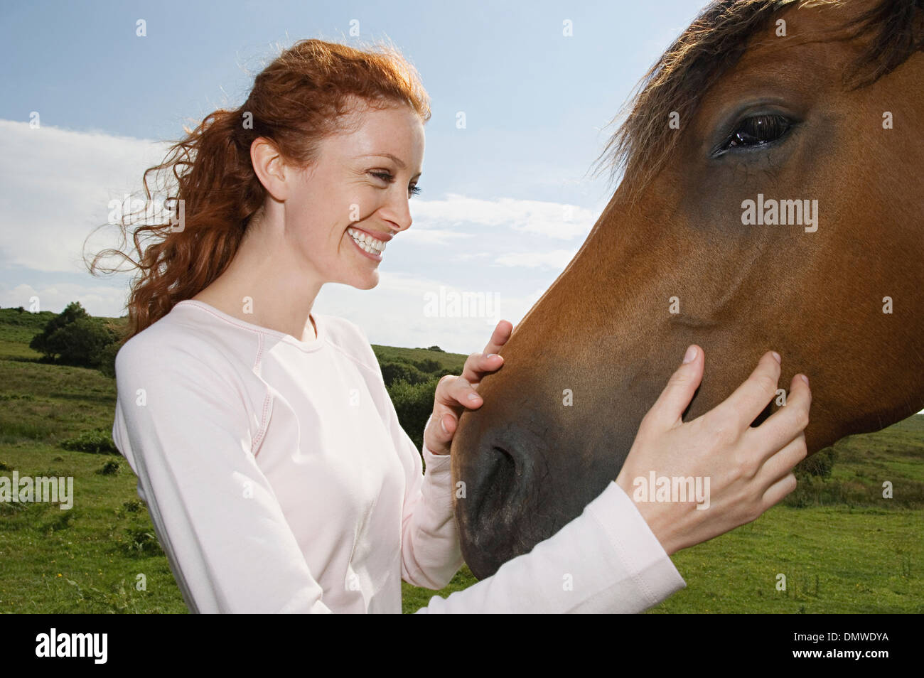 A young woman stroking  muzzle of a bay horse. Stock Photo