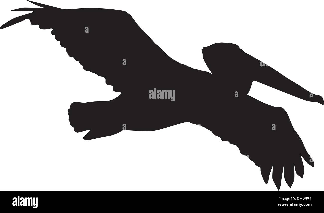 pelican Stock Vector