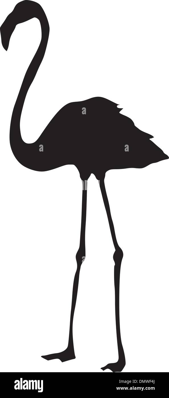 Flamingo vector vectors hi-res stock photography and images - Alamy