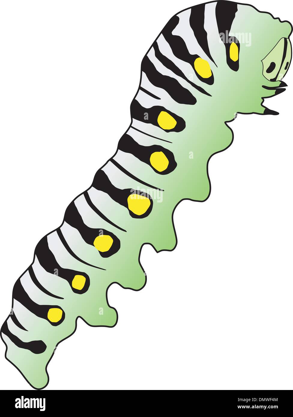 Vector illustration of cute green caterpillar cartoon  CanStock