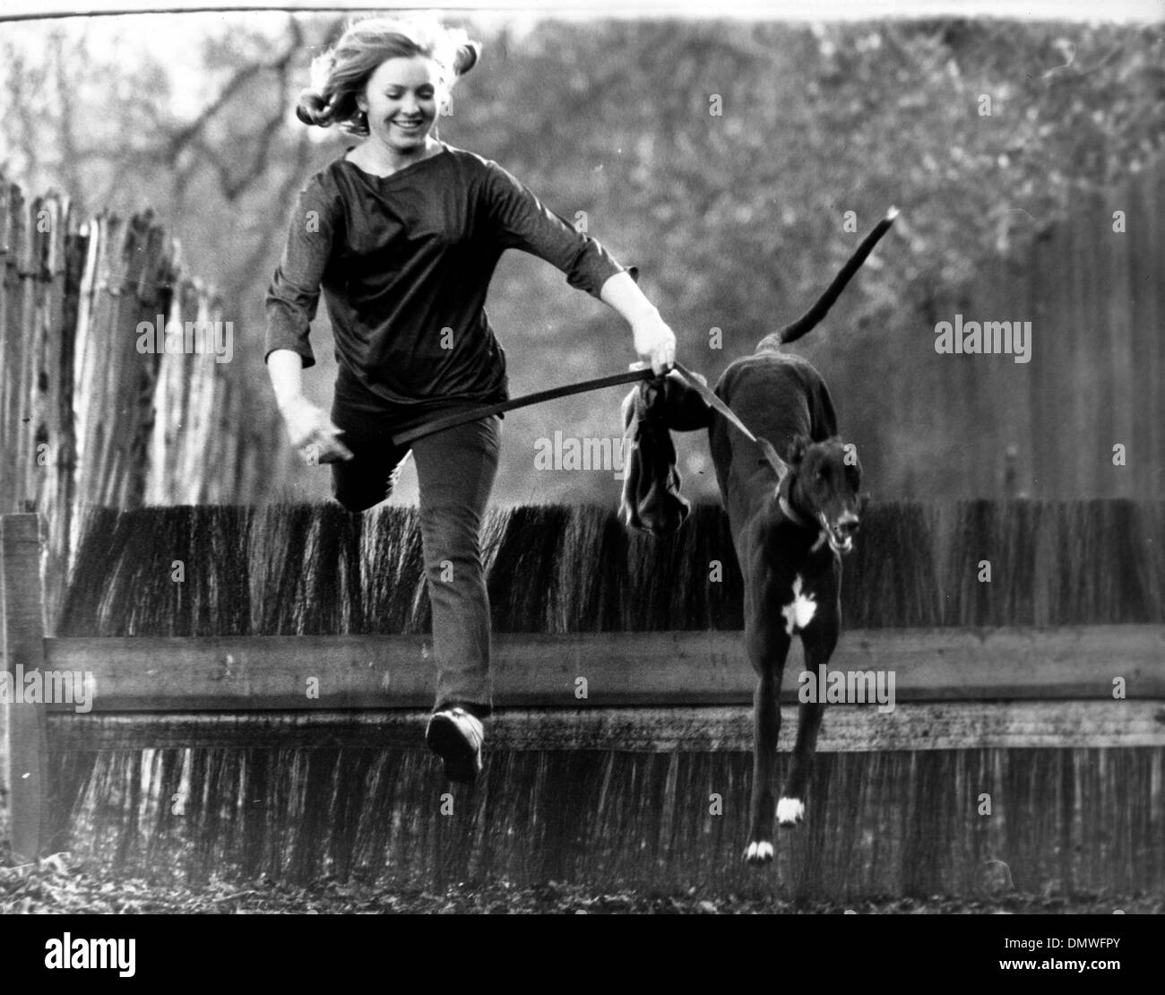 Jan. 20, 1965 - London, England, U.K. - NORAH MCELLISTRIM of the Norahmac Racing Club, seen training with her first Greyhound puppy to train to race. (Credit Image: © KEYSTONE Pictures USA/ZUMAPRESS.com) Stock Photo
