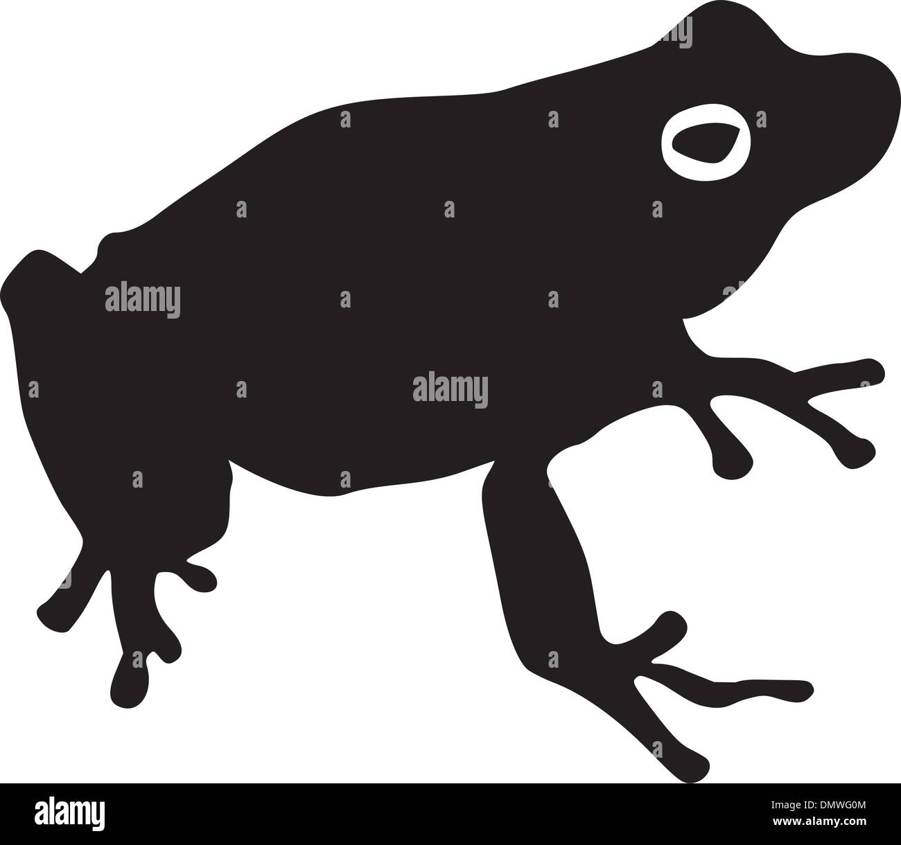 illustration of tree frog Stock Vector Image & Art Alamy