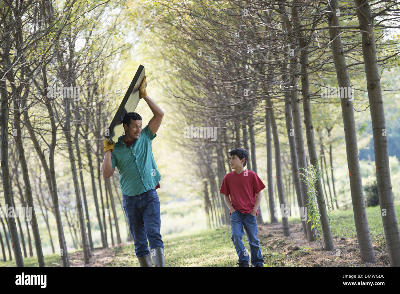 A man carrying a solar panel down an avenue of trees accompanied by a child. Stock Photo