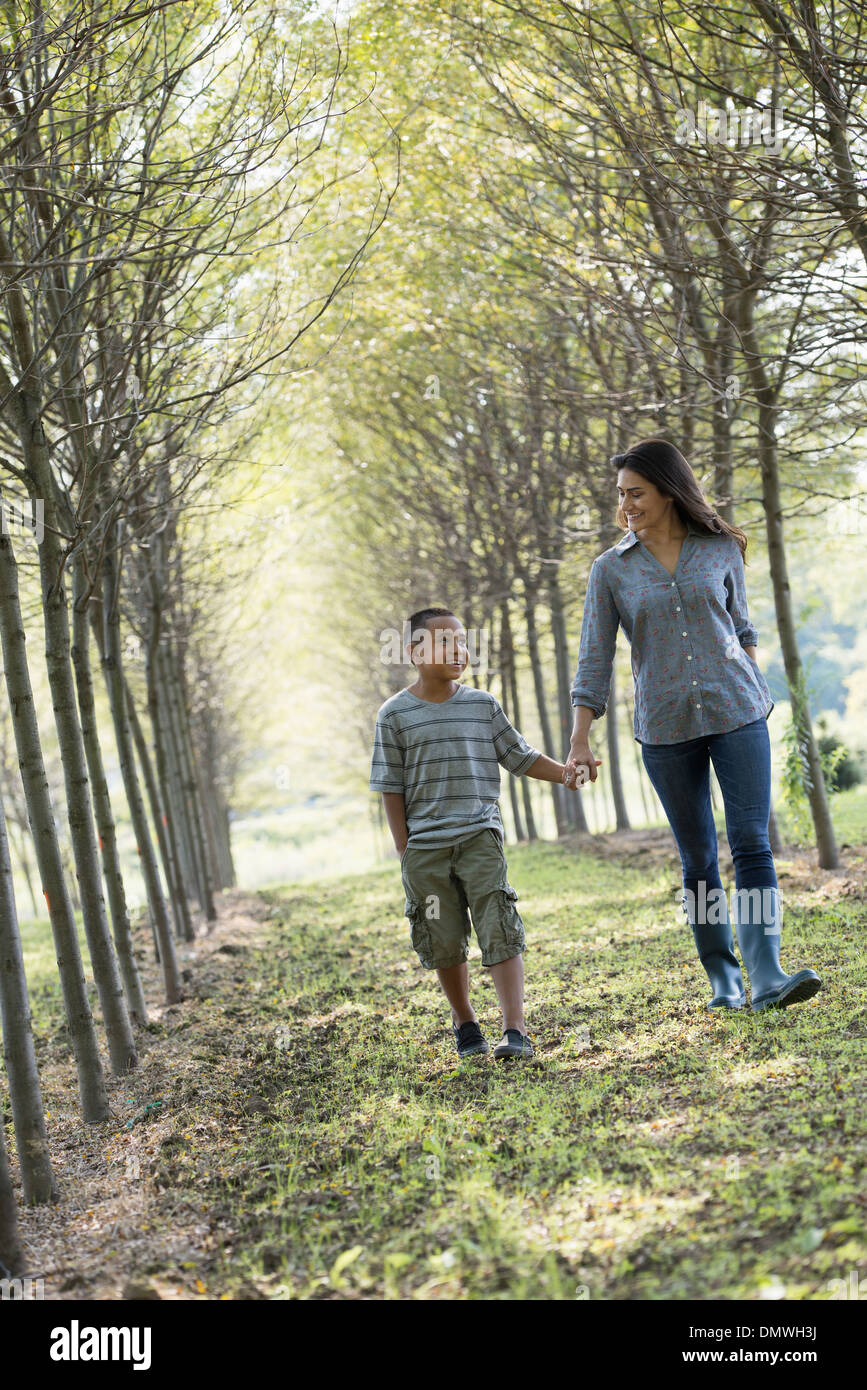 A woman and a young boy holding hands walking in woods. Stock Photo