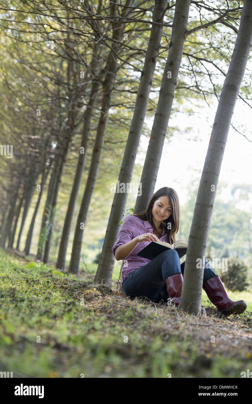 A woman sitting reading a book under  trees. Stock Photo