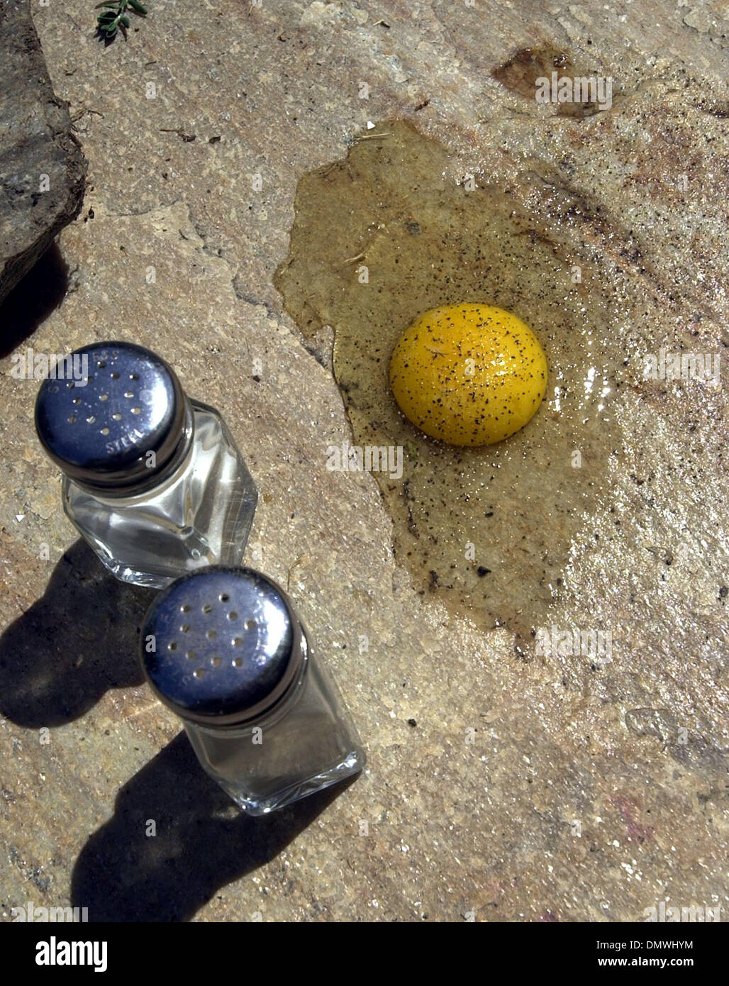 Ledger dispatch hires stock photography and images Alamy