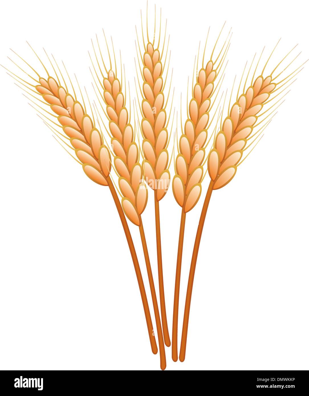 vector wheat ears Stock Vector