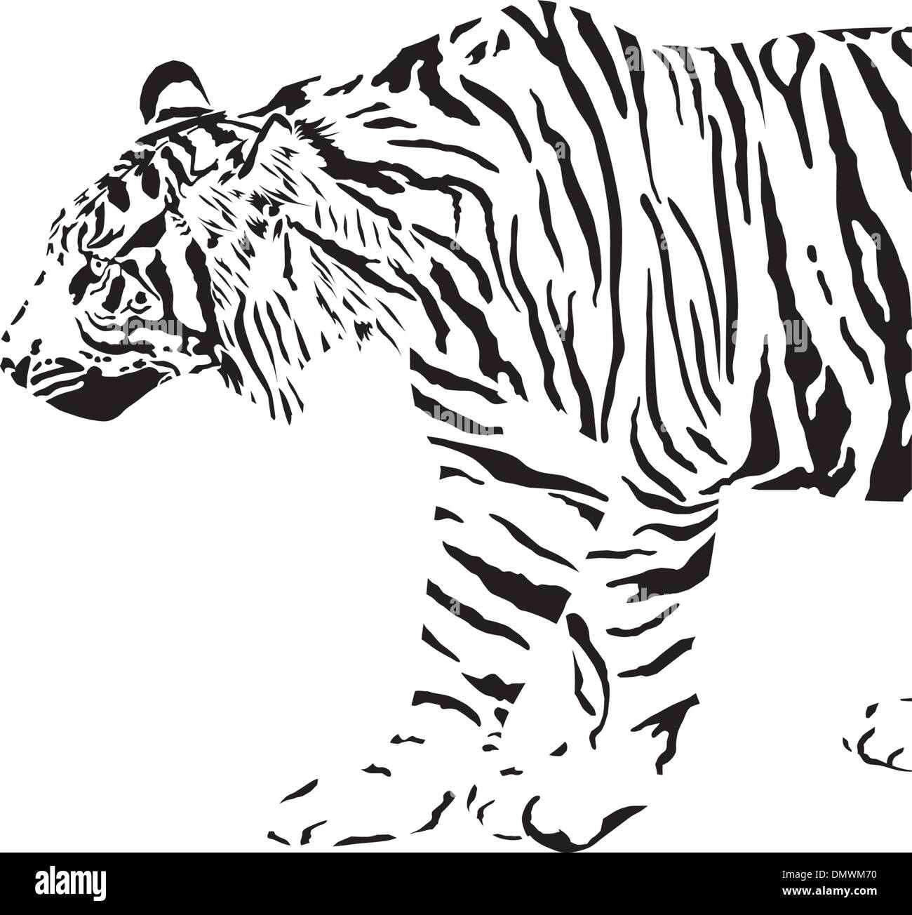 Tiger line art vector silhouette Stock Photo - Alamy