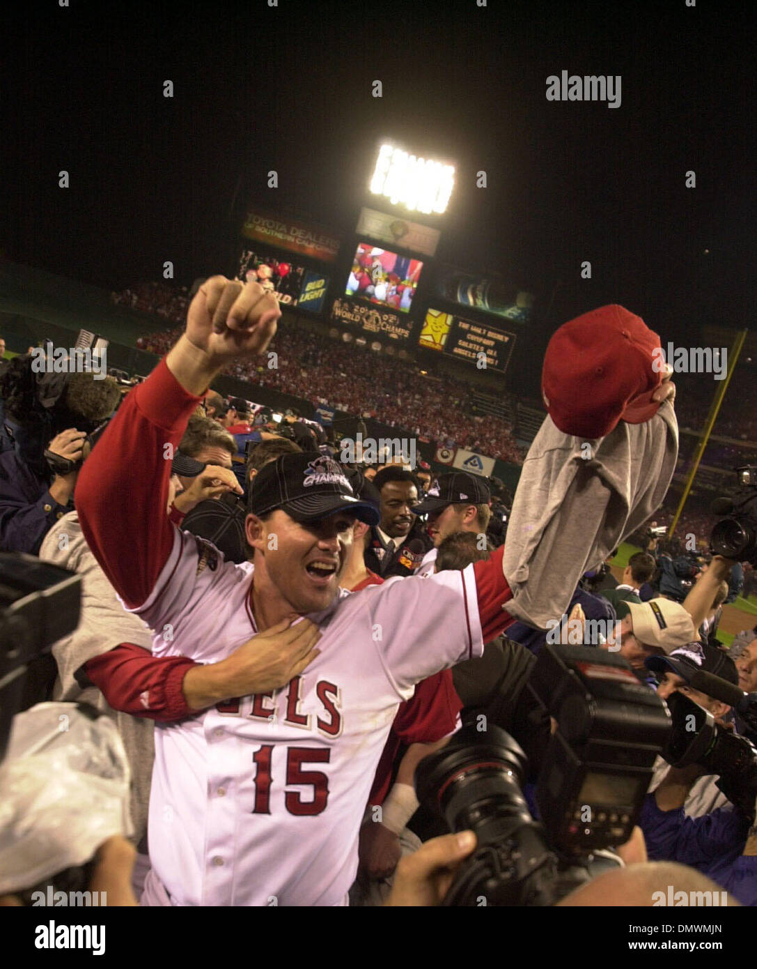 Tim salmon hi-res stock photography and images - Alamy