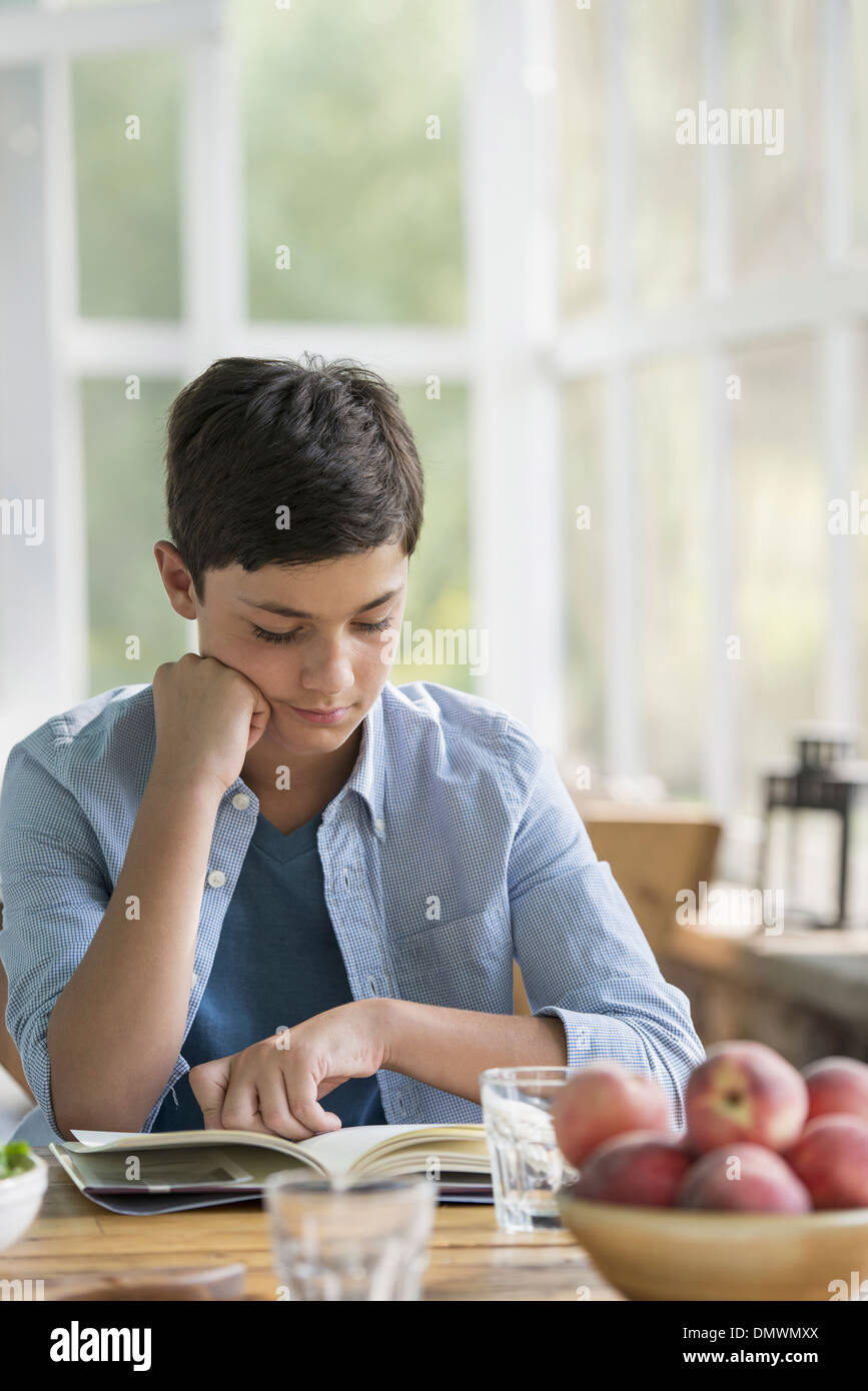 A young boy sitting reading a book. Stock Photo