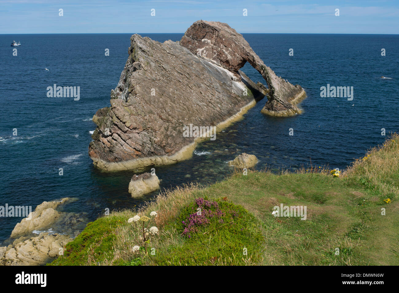 bow and fiddle rock portknockie moray coast Stock Photo
