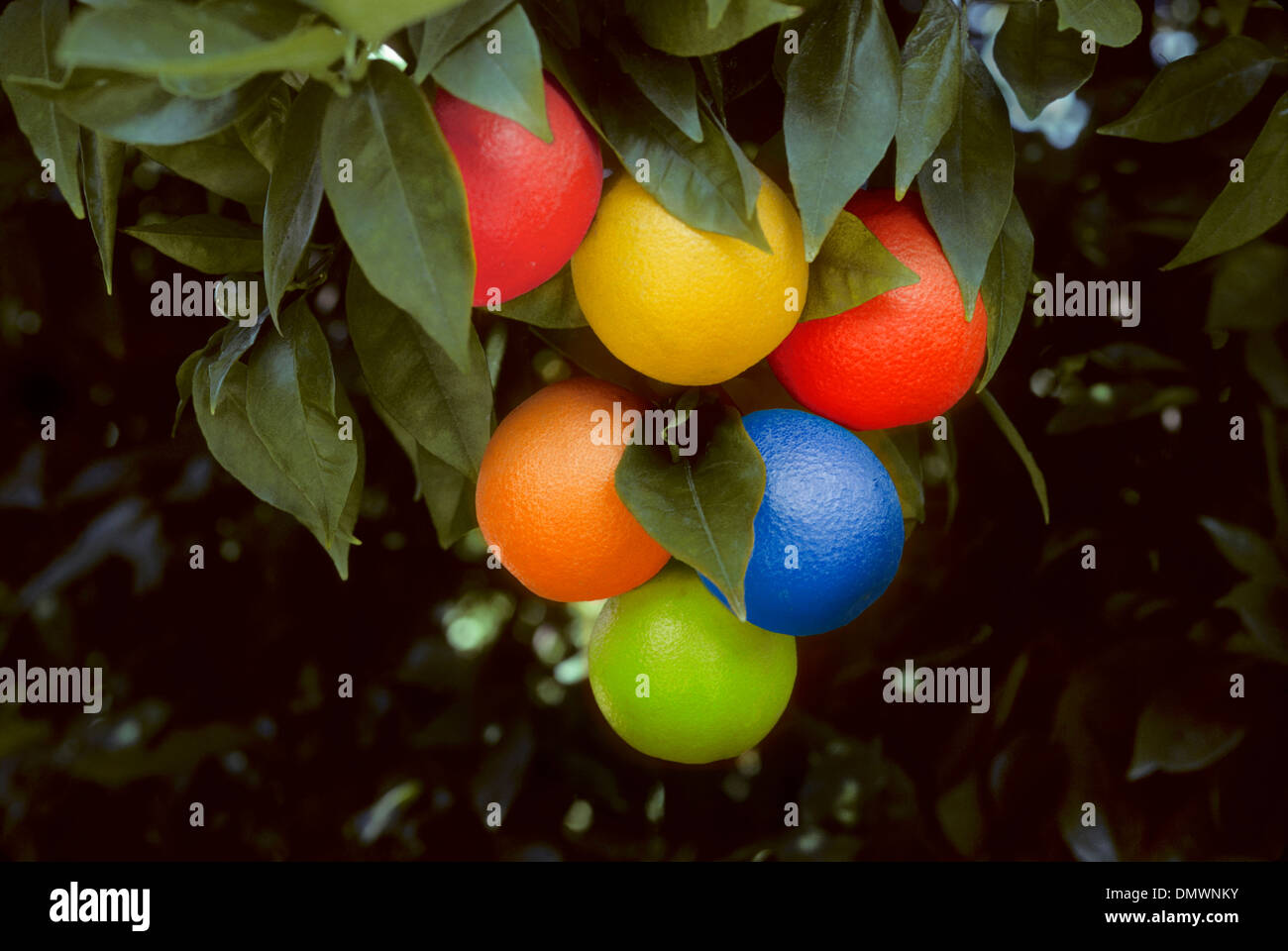 Bfs21100088 hires stock photography and images Alamy