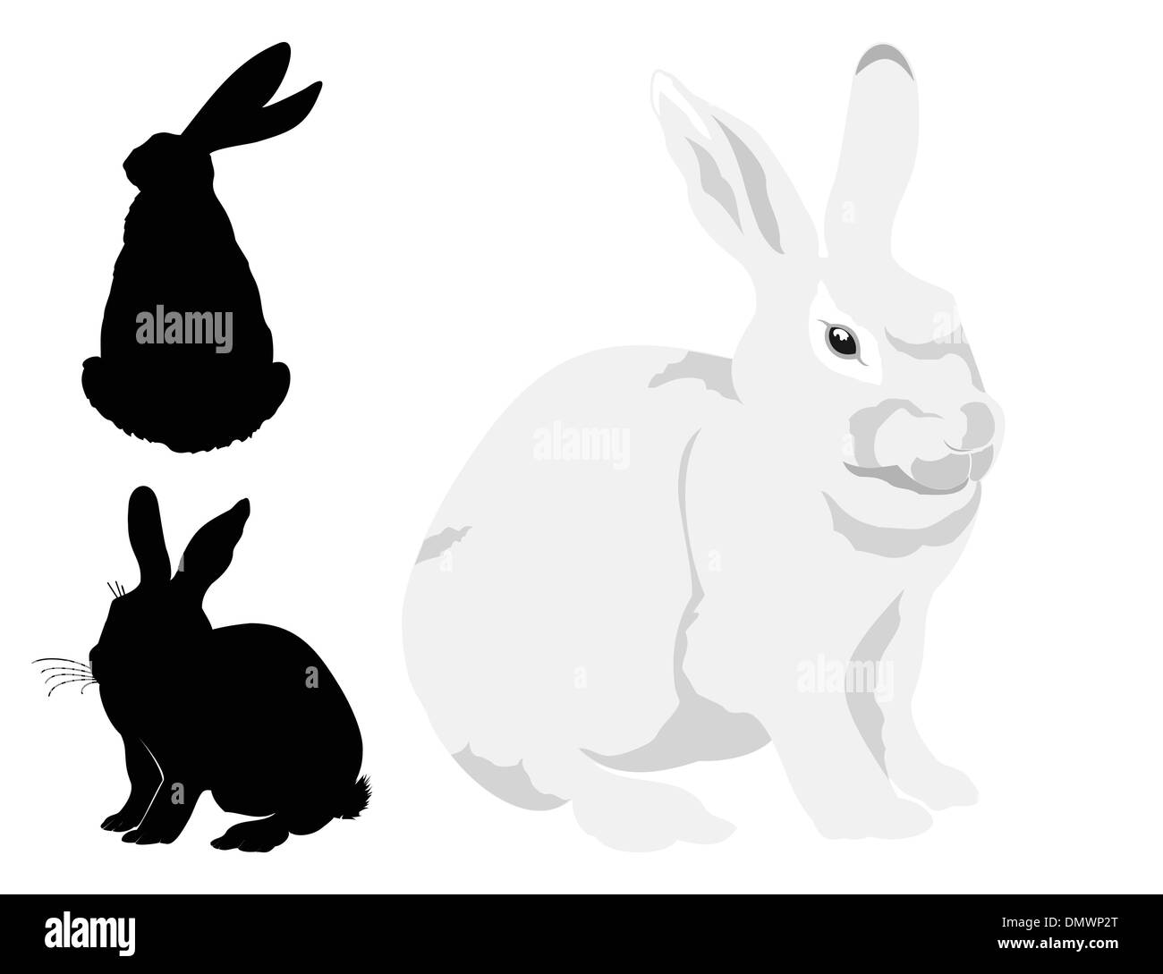Rabbit paw Black and White Stock Photos & Images - Alamy
