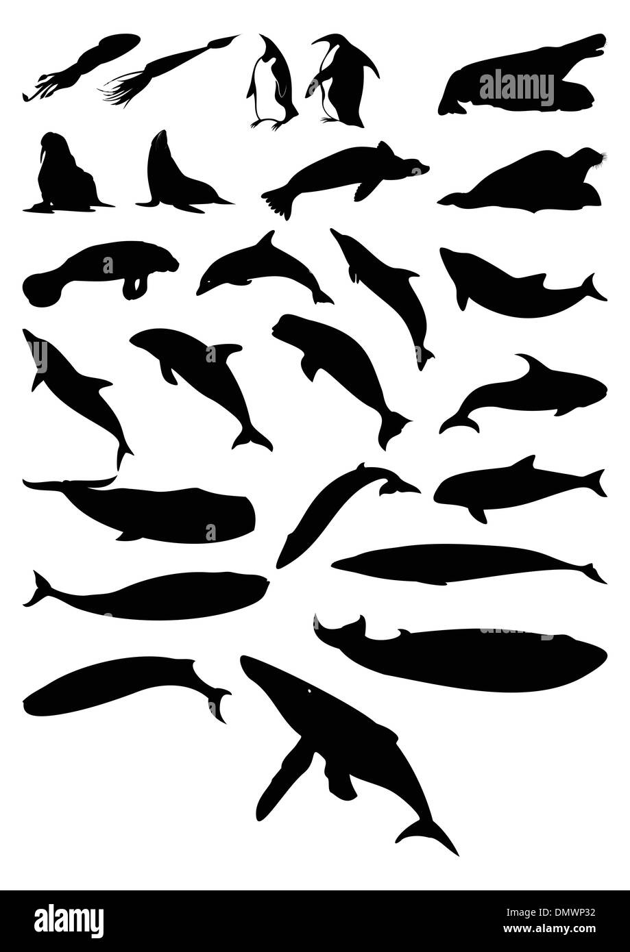 Sea mammals Stock Vector