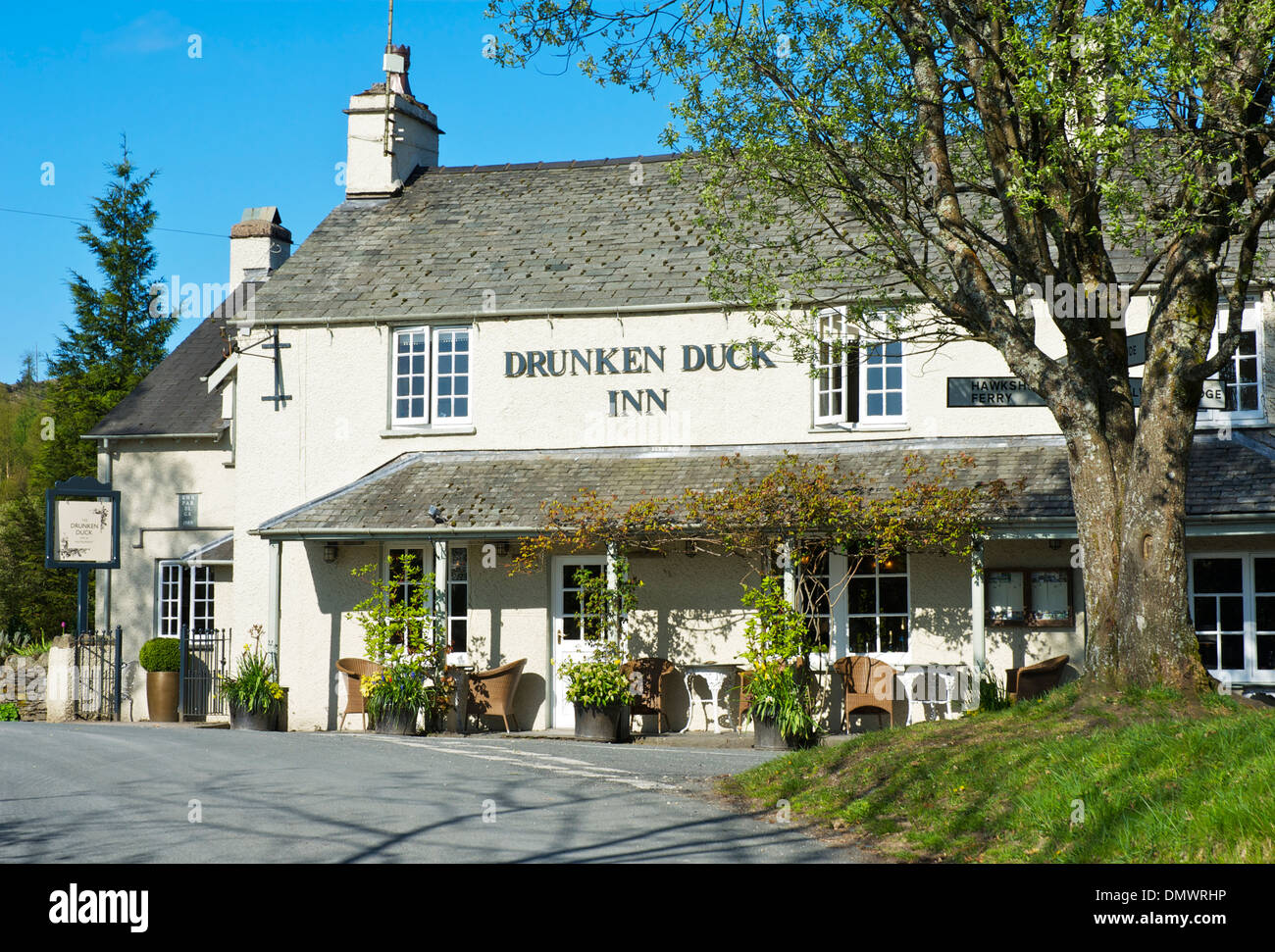 The Drunken Duck Inn Barngates Near Ambleside Lake District Stock Photo Alamy