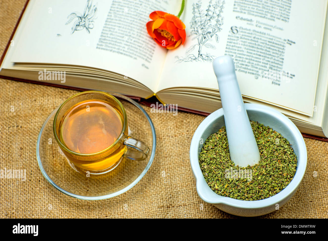 Rock rose tea with medieval textbook Stock Photo