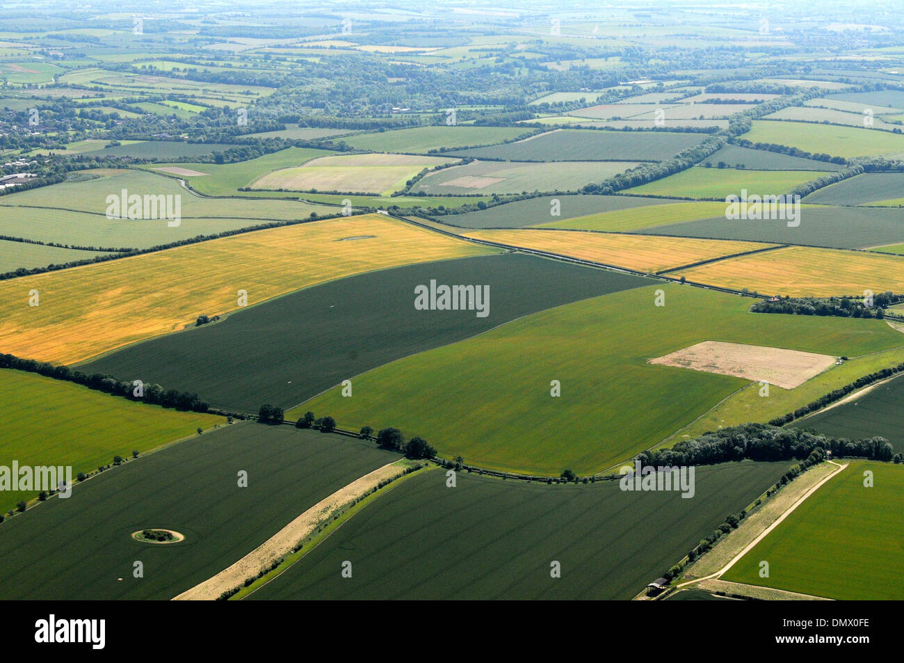 Fields in late spring, Hampshire, Southern England Stock Photo