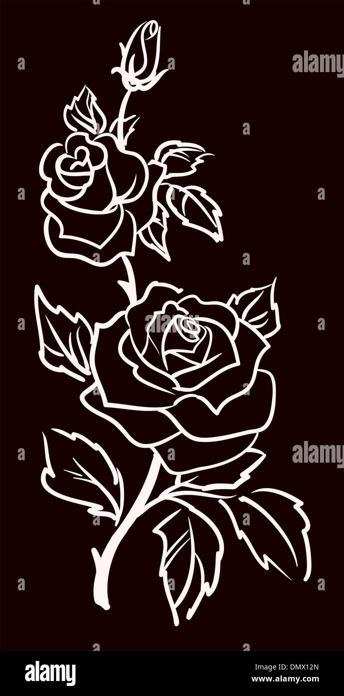 three white roses  isolated on black  background, vector illustr Stock Vector