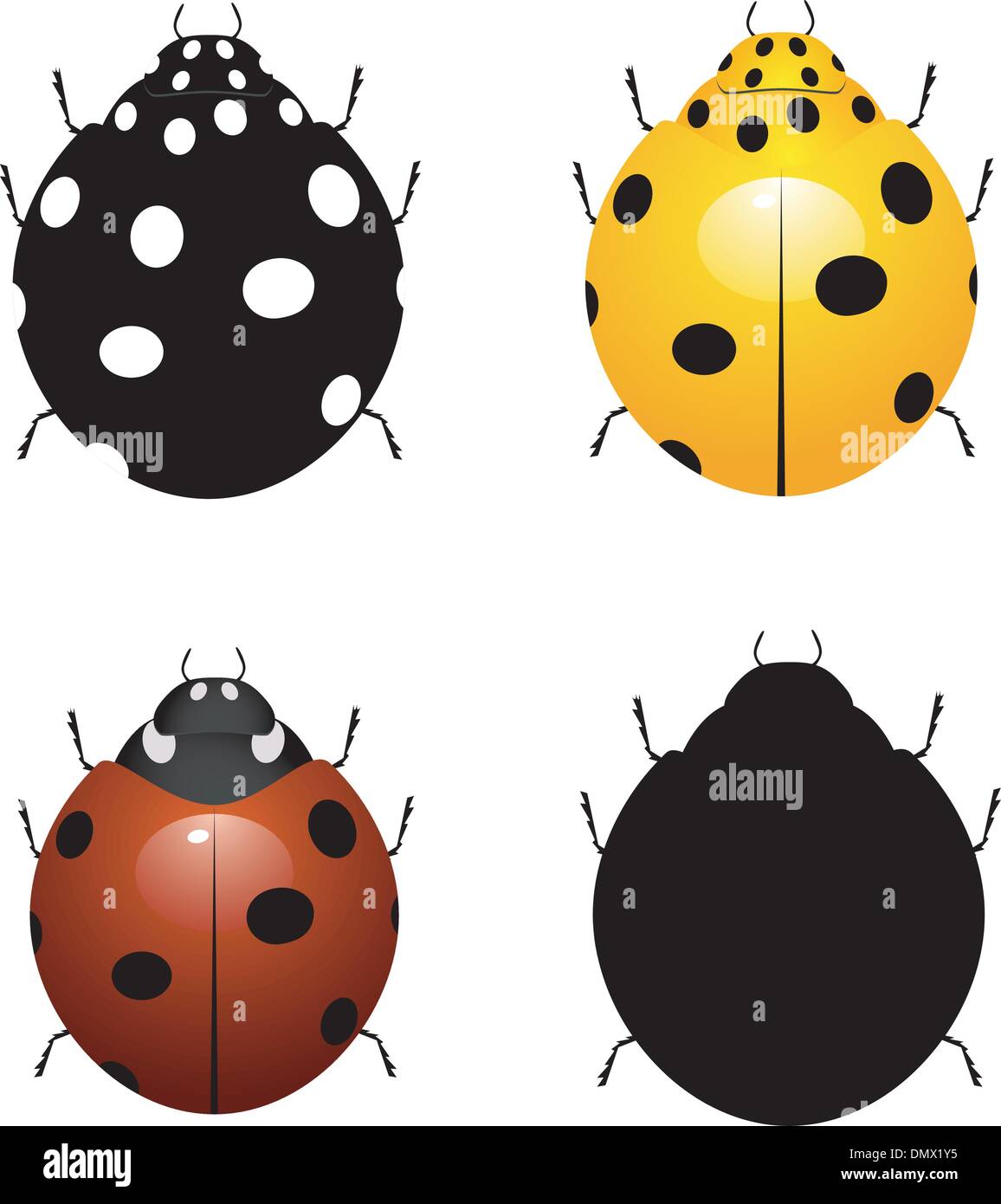 Set vector illustration of ladybirds Stock Vector