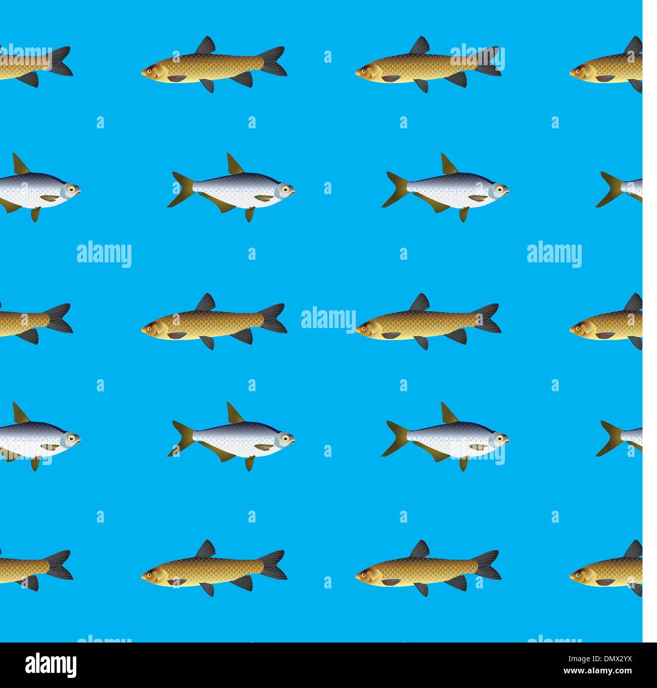 seamless texture with the fishes Stock Vector
