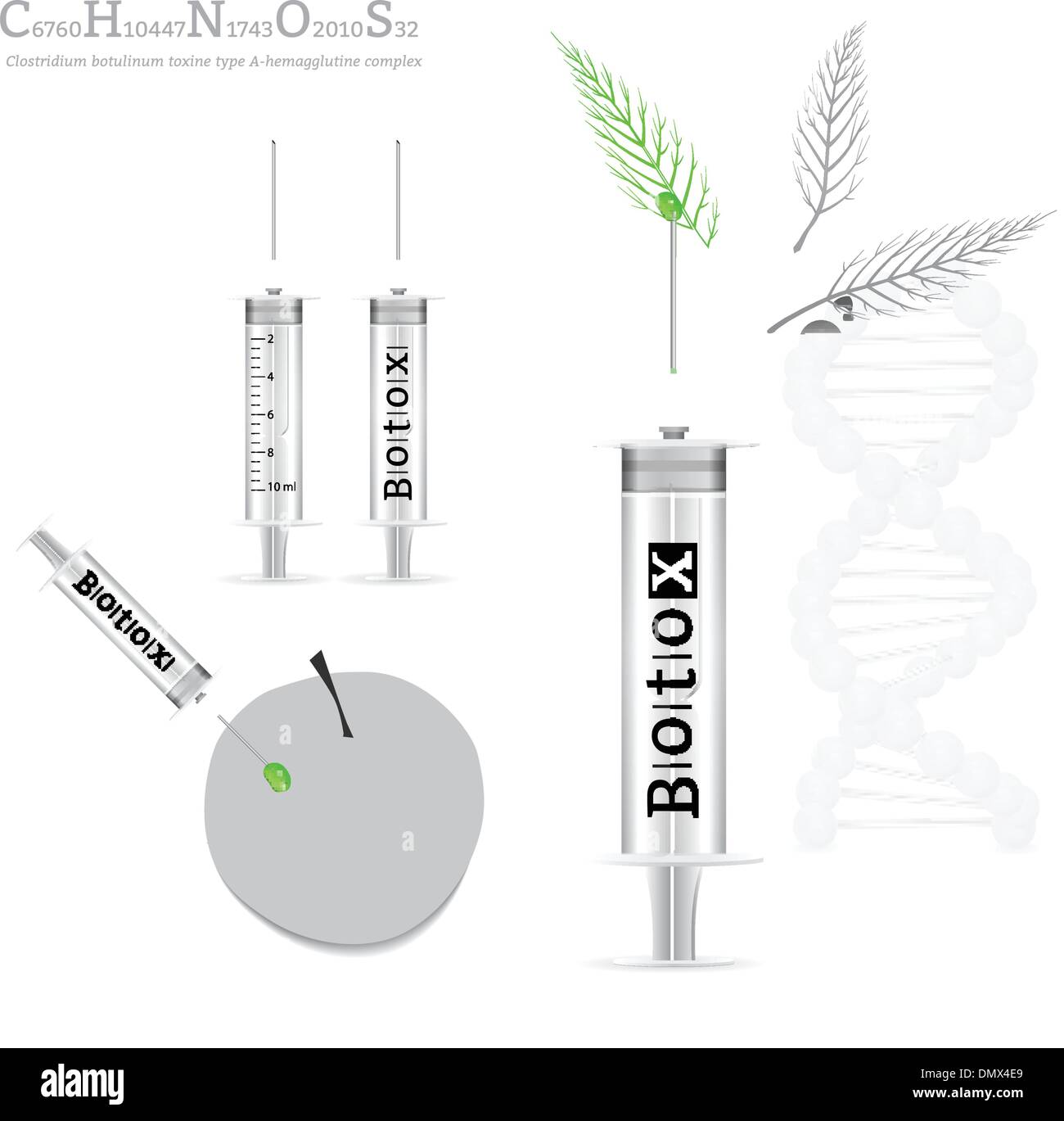 Botulinum Toxin Stock Vector