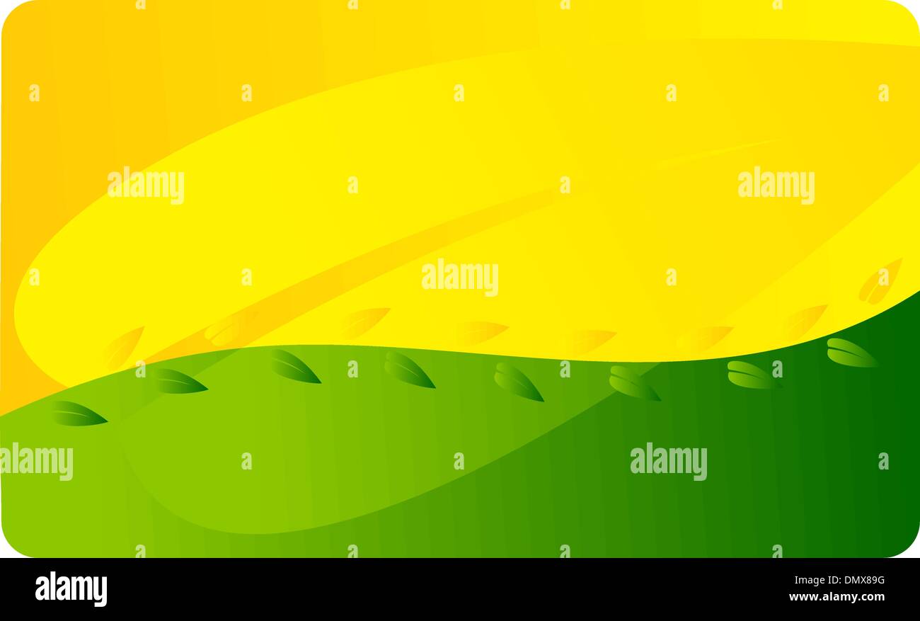 Business card template Stock Vector Image & Art Alamy