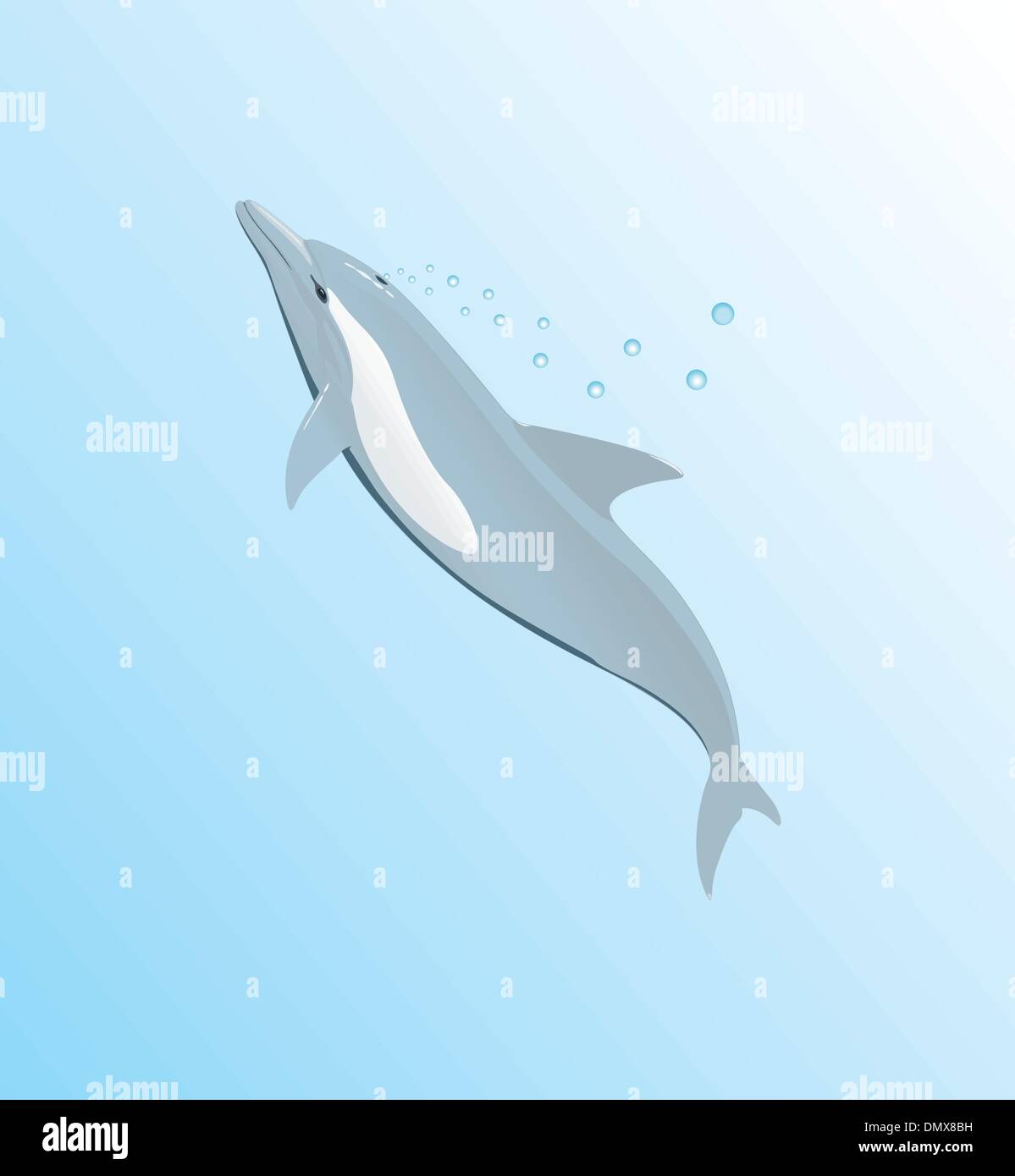 vector pixel art cat dolphin isolated cartoon Stock Vector Image & Art -  Alamy