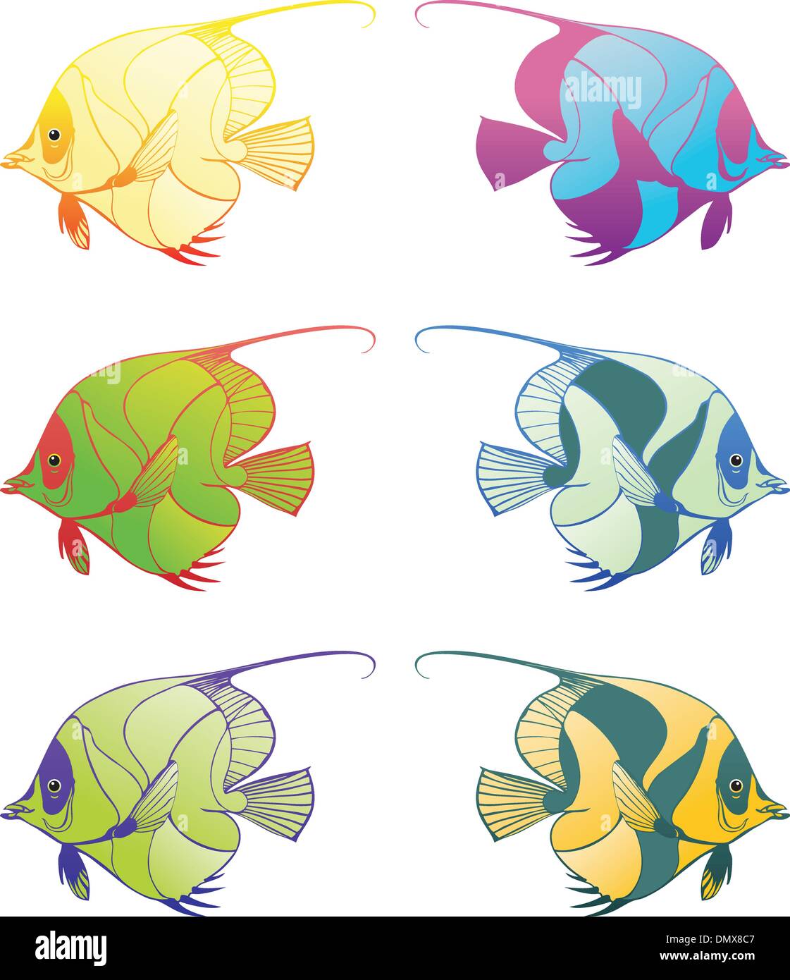 Gill Vector Gill Stock Vector Images - Alamy