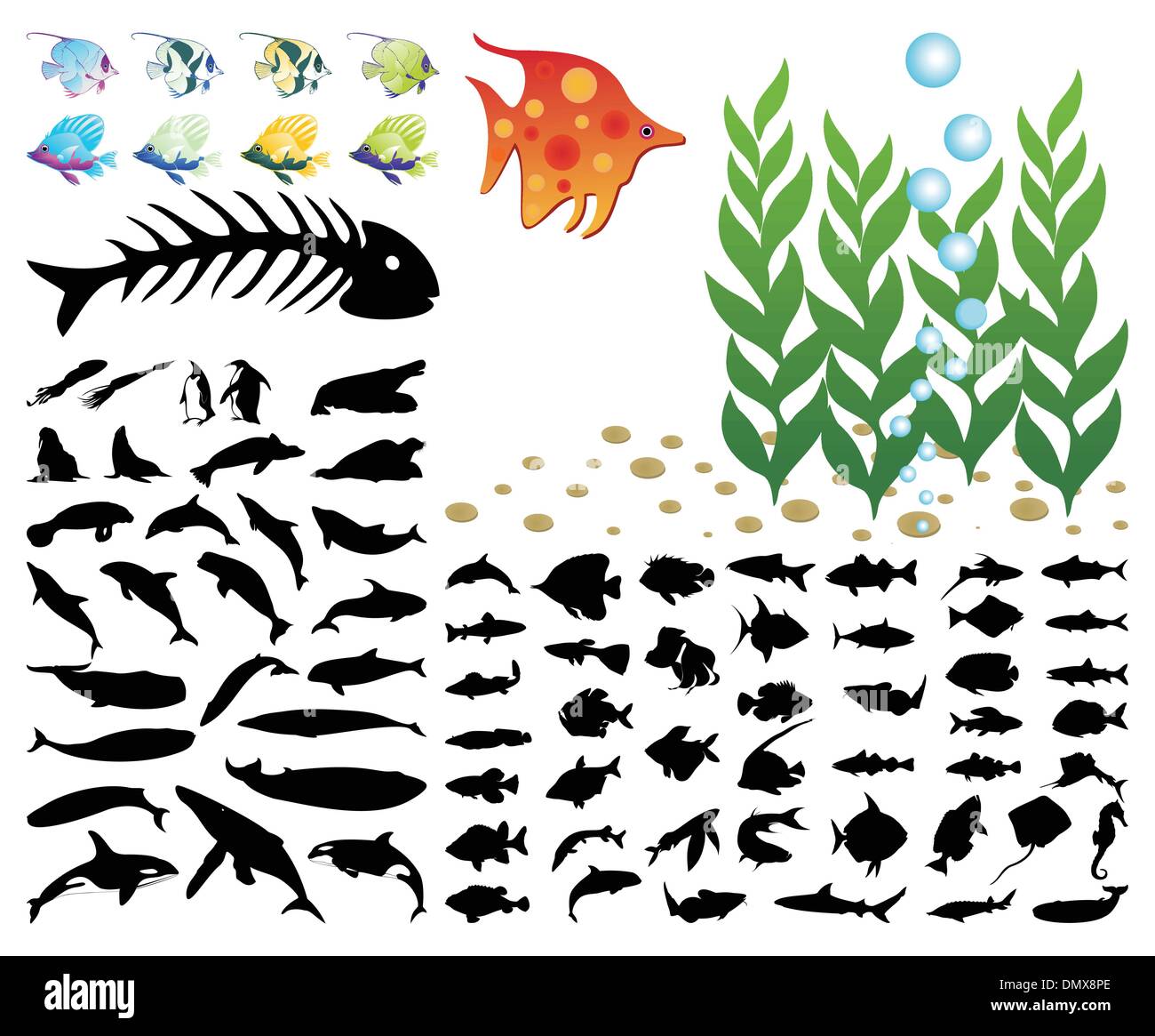 Sea collection Stock Vector