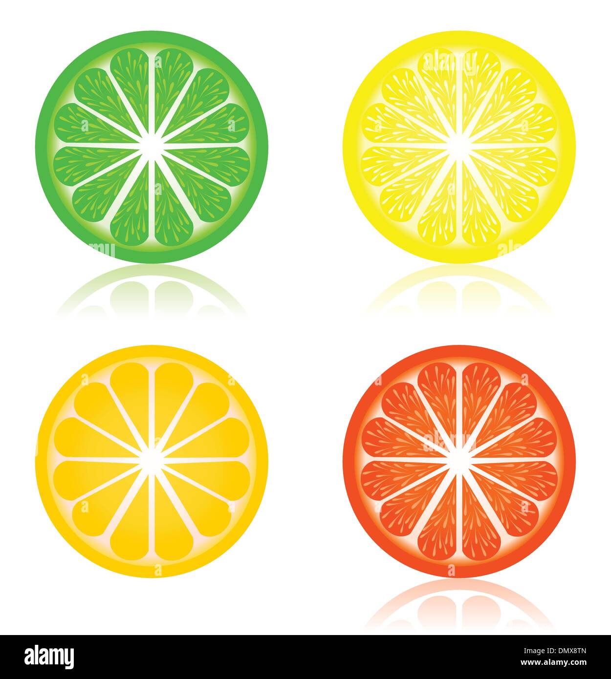 Icon a citrus Stock Vector